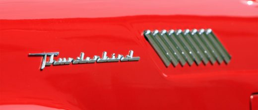 image_manager__fancybox-dimensions_t-bird_05